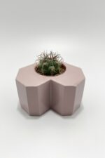 Sevgiliye Hediye Kalpli Saksıda Kaktüs (Pembe) - Gymnocalycium Marquezi - Görsel 4