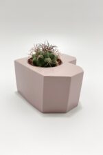 Sevgiliye Hediye Kalpli Saksıda Kaktüs (Pembe) - Gymnocalycium Marquezi - Görsel 3