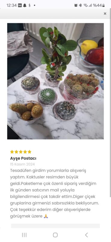Image #2 from Ayşe Postacı