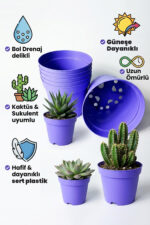 Kaktüs ve Sukulent Saksısı Bol Drenaj Delikli 8.5 cm çap Lila 20 Adet - Görsel 2