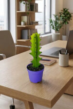 Euphorbia Kaktüs (Süt Ağacı) – Aşı Altı Uyumlu, Kolay Bakım - Görsel 5