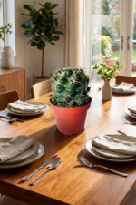Yavrulu Büyük Boy Koleksiyon Kaktüs Coryphantha Elephantidens 12 cm Saksıda - Görsel 5